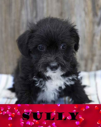 Pet Store «Pet Express», reviews and photos, 100 Independence Way, Danvers, MA 01923, USA