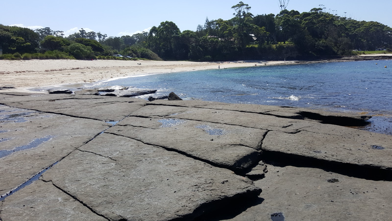 Collers Beach'in fotoğrafı - tatil için iyi evcil hayvan dostu nokta