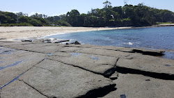 Collers Beach'in fotoğrafı - tatil için iyi evcil hayvan dostu nokta