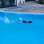 Photo n°13 de l'avis de Alan.p fait le 25/06/2022 à 18:25 sur le  Villa Pace Park Hotel Bolognese à Preganziol