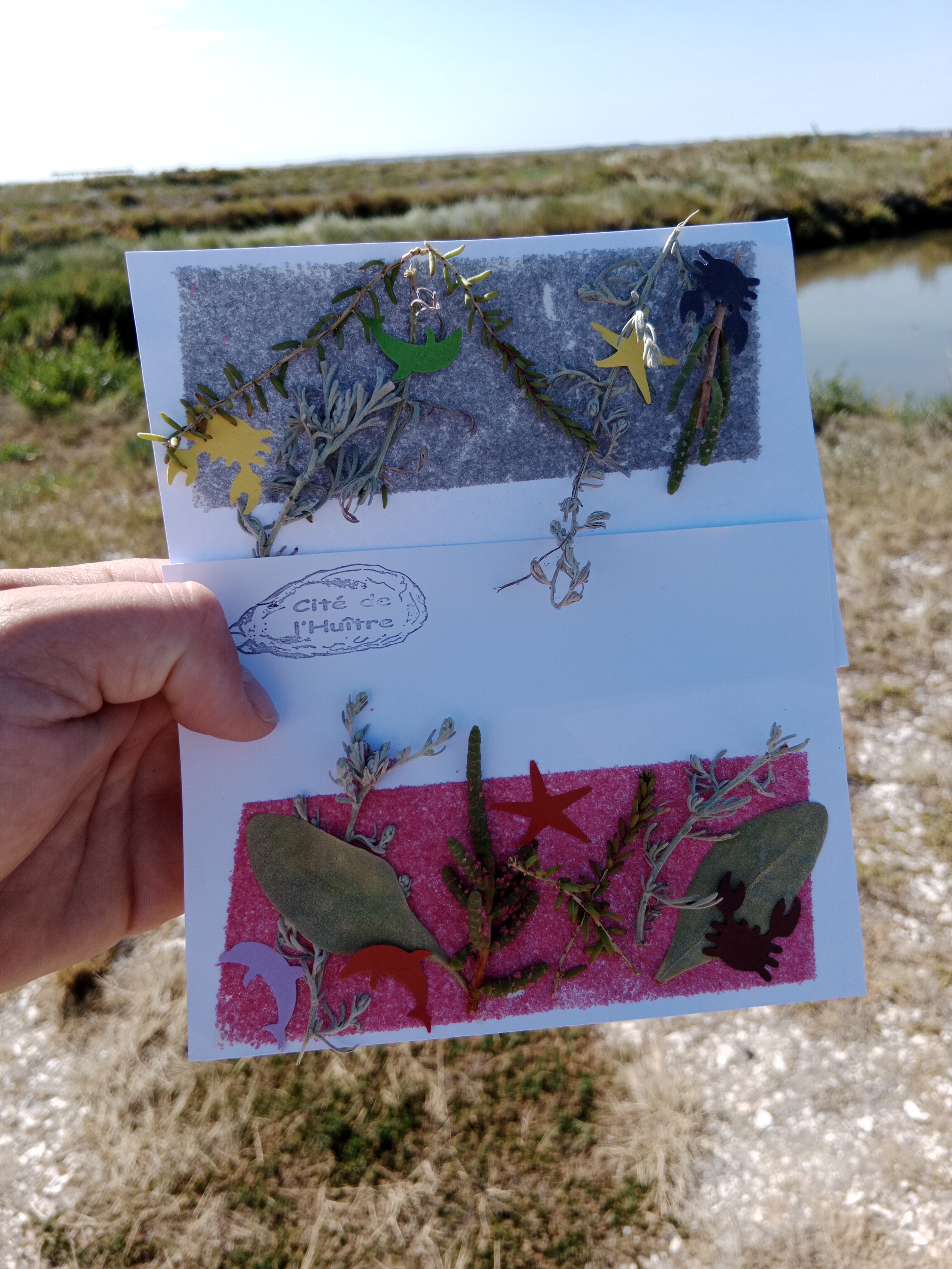 Photo n° 3 de l'avis de Olivier.r fait le 05/09/2023 à 07:00