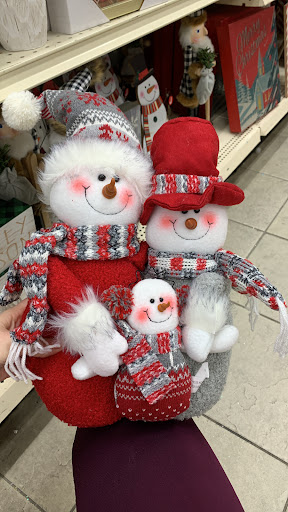 Home Goods Store «Christmas Tree Shops», reviews and photos, 300 Ikea Dr, Paramus, NJ 07652, USA