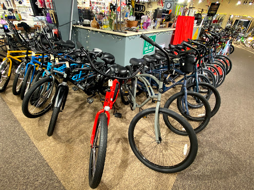 Bicycle rental service Beaumont