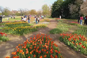 Floral Library image