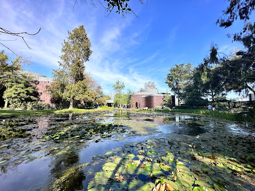 Garden Cafe at Norton Simon Museum image