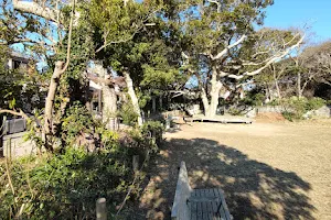 Zaimokuzatabunoki Park image