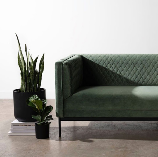 Furniture Store «Green Front Interiors & Rugs», reviews and photos, 2004 Yonkers Rd, Raleigh, NC 27604, USA