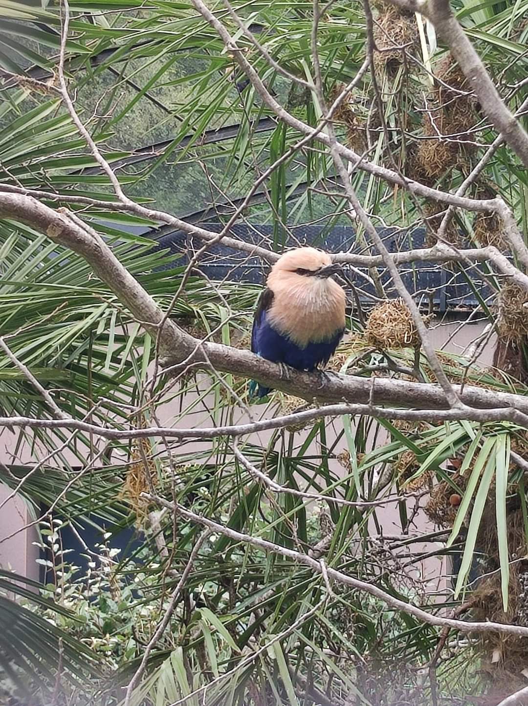 Photo n° 31 de l'avis de Maïté.e fait le 03/08/2022 à 19:24