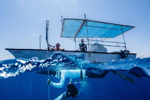 צלילה חופשית אילת - Freedive Eilat image