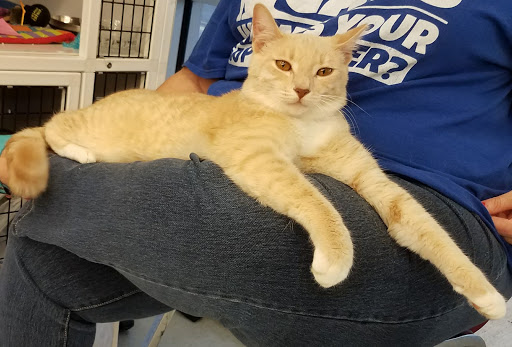 Pet Supply Store «Pet Supplies Plus», reviews and photos, 1258 Northlake Blvd, Lake Park, FL 33403, USA