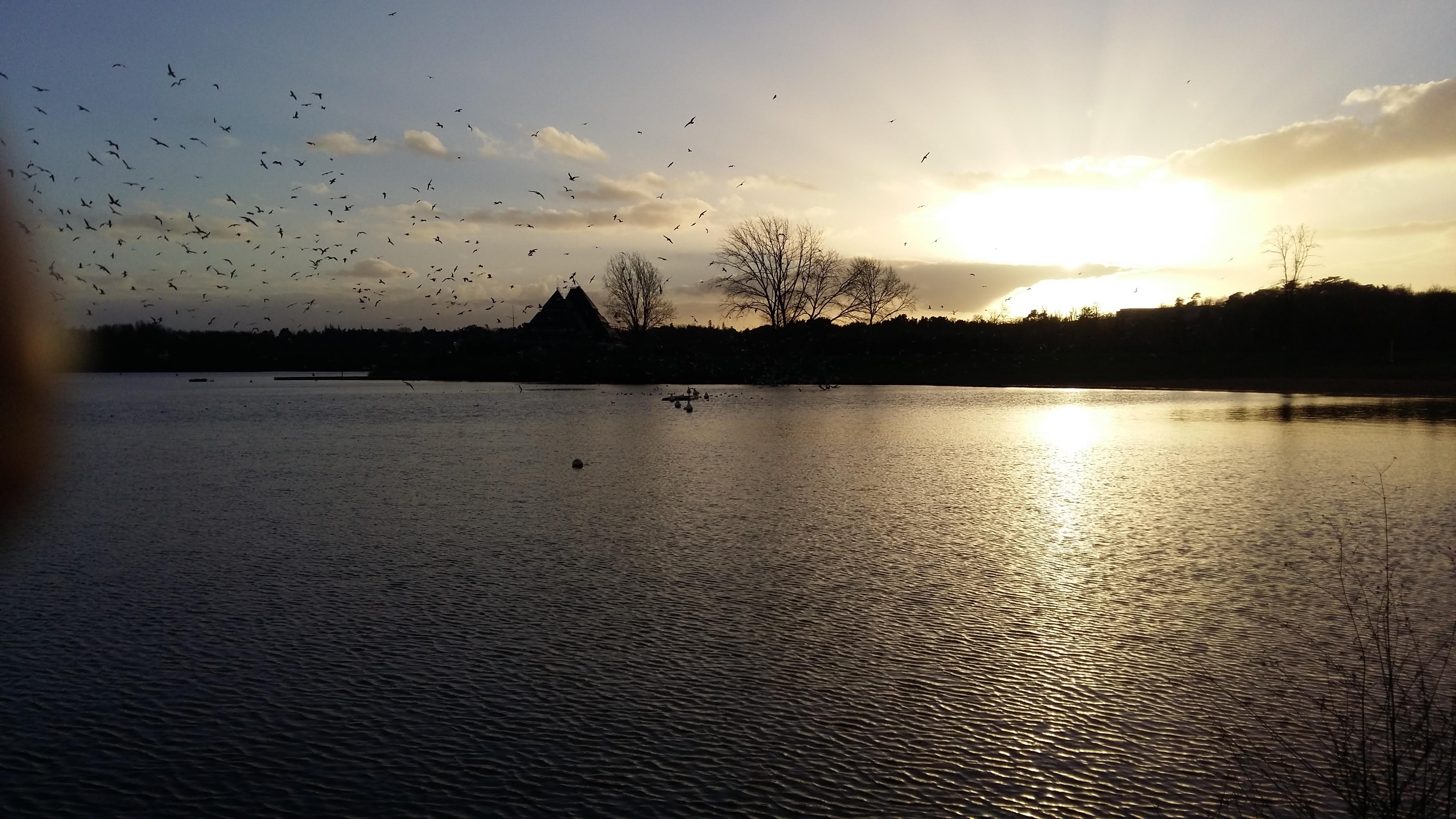 Photo n° 2 de l'avis de john.c fait le 28/01/2019 à 05:27