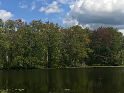 Golf Club «Bowling Green Golf Club», reviews and photos, 53 School House Rd, Oak Ridge, NJ 07438, USA