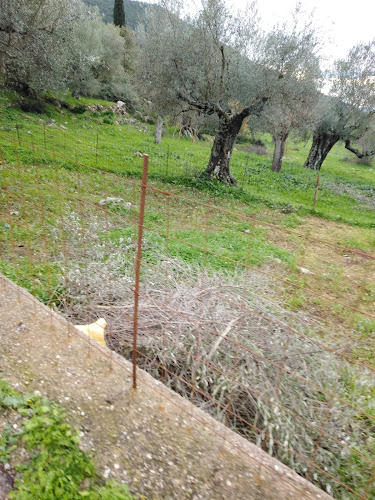 Country Cottage House - Καλαμάτα