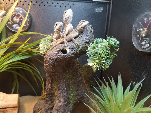 Pet Supply Store «PetSmart», reviews and photos, 315 Gellert Blvd, Daly City, CA 94015, USA