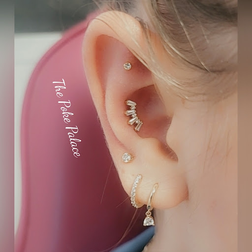 Explore animal tattoo ideas for guys, creative tattoo ideas in Sheridan, available at The Poke Palace