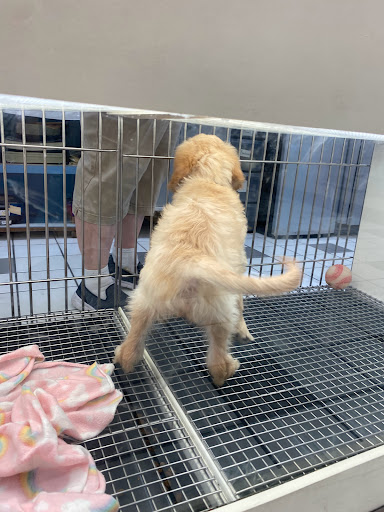 Pet Store «Family Pet Center», reviews and photos, 1401 Greenbrier Pkwy, Chesapeake, VA 23320, USA