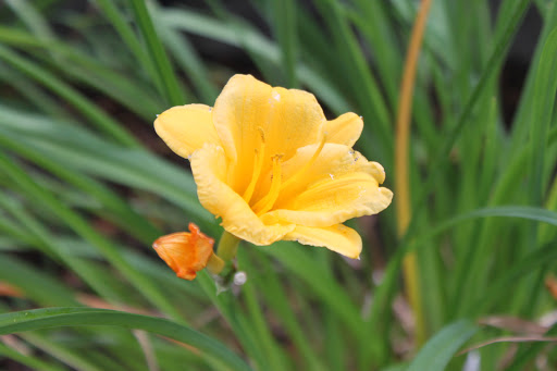 Park «New Bedford Whaling National Historical Park», reviews and photos, 33 William St, New Bedford, MA 02740, USA