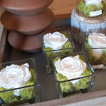 Photo n° 2 de l'avis de Christine.a fait le 23/07/2022 à 11:50 pour Mel'Eau Rose à Sainte-Pazanne