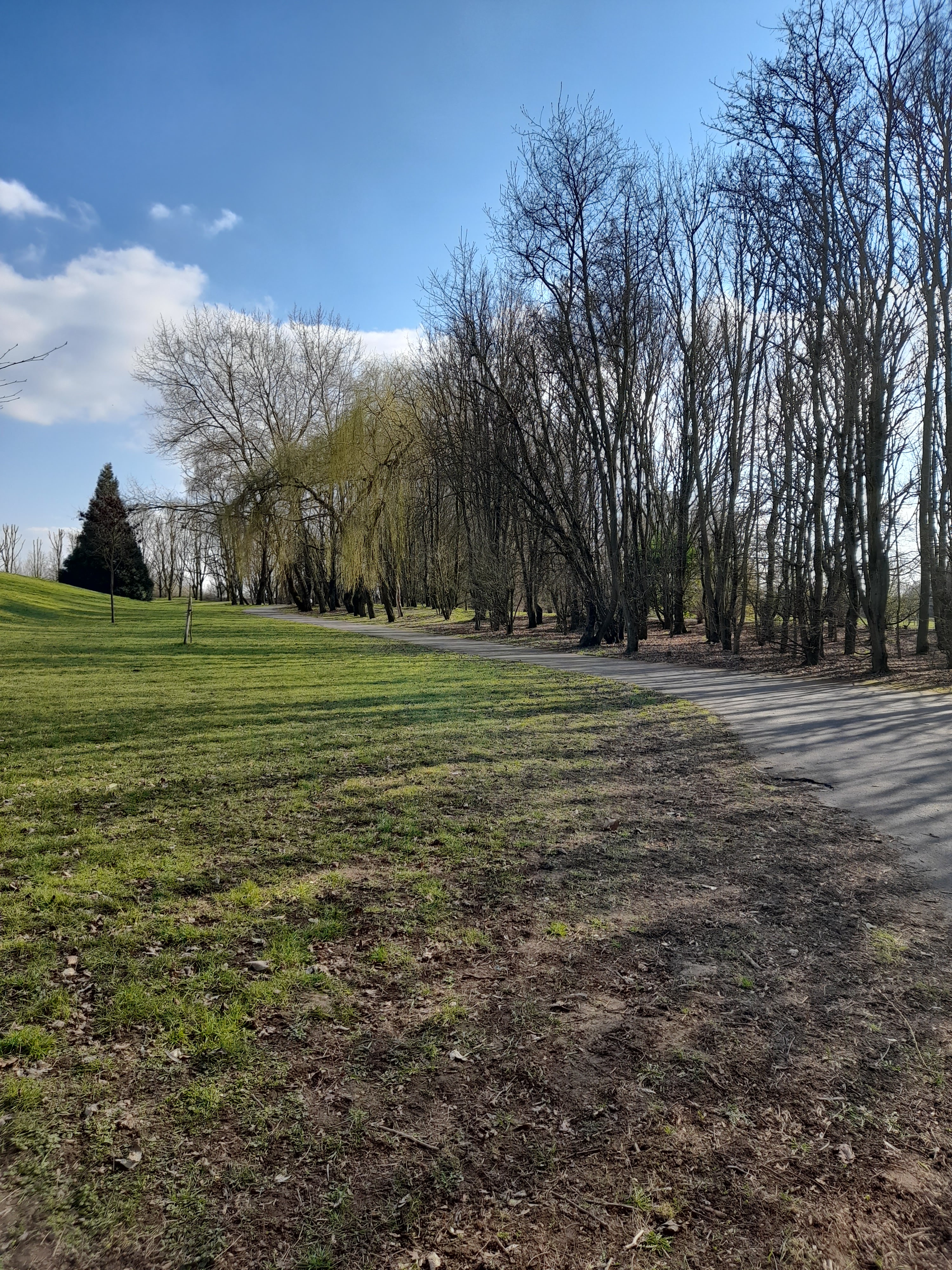 Photo n° 8 de l'avis de Annick.r fait le 10/03/2021 à 14:46