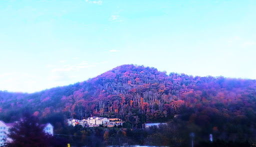 Shopping Mall «Innsbruck Mall», reviews and photos, 85 Tunnel Rd #40, Asheville, NC 28805, USA