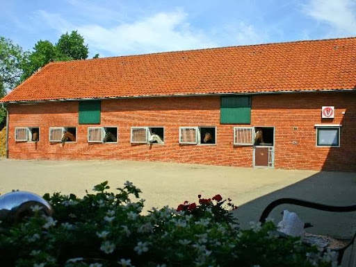 Pferdepraxis Bierbergen Dr. Jacobs & Partner unter Hohenhameln, 