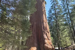 Sequoia National Forest image