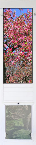 Pet Supply Store «Moore Pet Supplies», reviews and photos, 3170 Airport Dr, La Crosse, WI 54603, USA