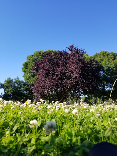 Park «Foster Memorial Park», reviews and photos, 13919 53rd Ave S, Tukwila, WA 98168, USA