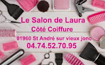 Salon de coiffure Côté Coiffure 《 le Salon de Laura 》 01960 Saint-André-sur-Vieux-Jonc