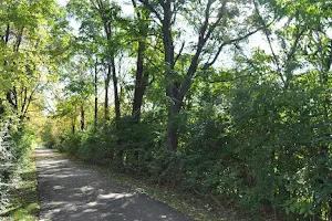 Old Plank Road Trail - Park Road Access image