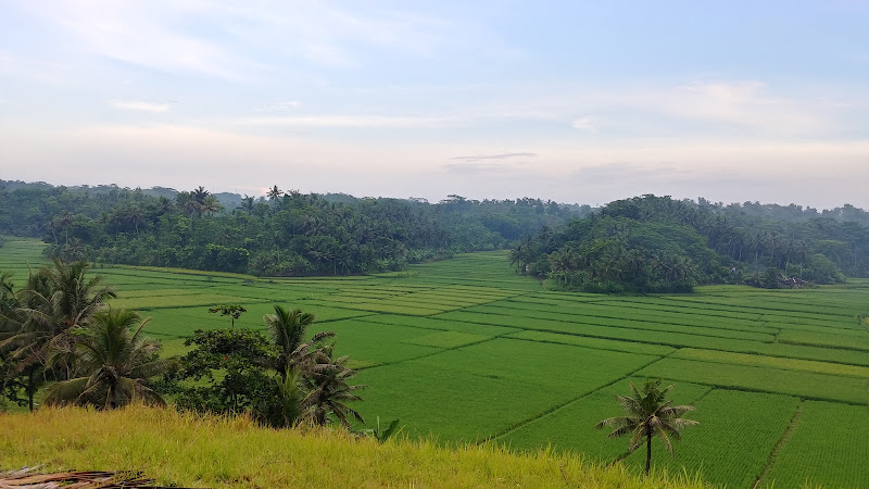 Bukit The Next Cianjur Story