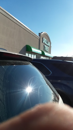 Dollar Store «Dollar Tree», reviews and photos, 1420 S Centerville Rd, Sturgis, MI 49091, USA