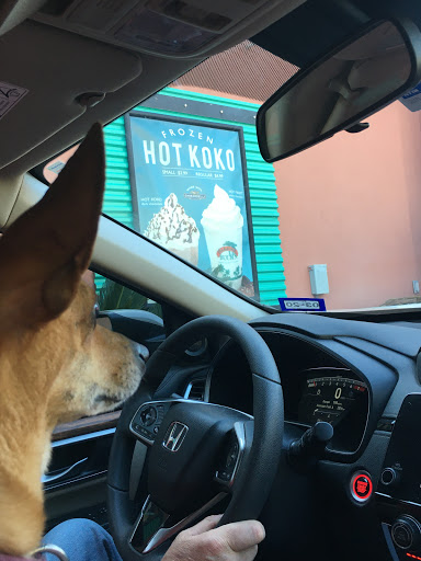 Ice Cream Shop «Bahama Bucks», reviews and photos, 5300 Lakeview Pkwy, Rowlett, TX 75088, USA