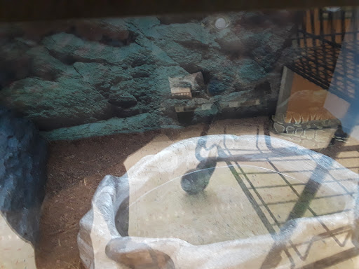 Pet Supply Store «Petco Animal Supplies», reviews and photos, 22511 TX-249, Houston, TX 77070, USA