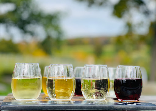 Vineyard «Hopkins Vineyard», reviews and photos, 25 Hopkins Rd, Warren, CT 06777, USA