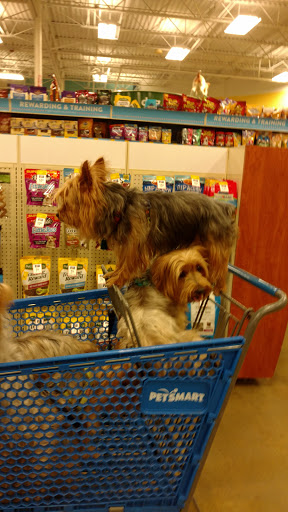 Pet Supply Store «PetSmart», reviews and photos, 380 S State Rd 434, Altamonte Springs, FL 32714, USA