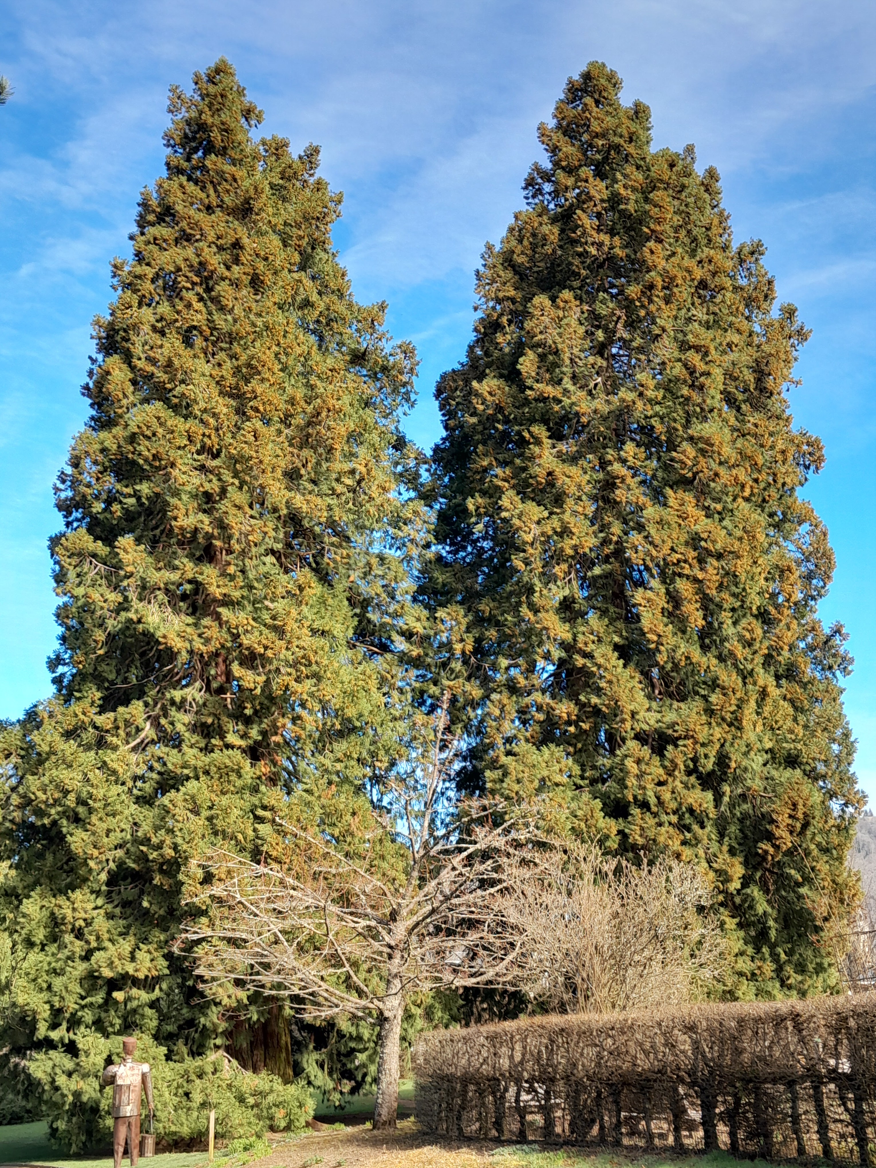 Photo n° 1 de l'avis de Pascal.U fait le 22/03/2024 à 10:16