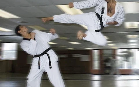 Wesley Chapel Martial Arts Academy image