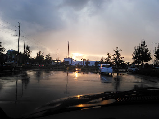 Supermarket «Walmart Neighborhood Market», reviews and photos, 4536 53rd Ave E, Bradenton, FL 34203, USA