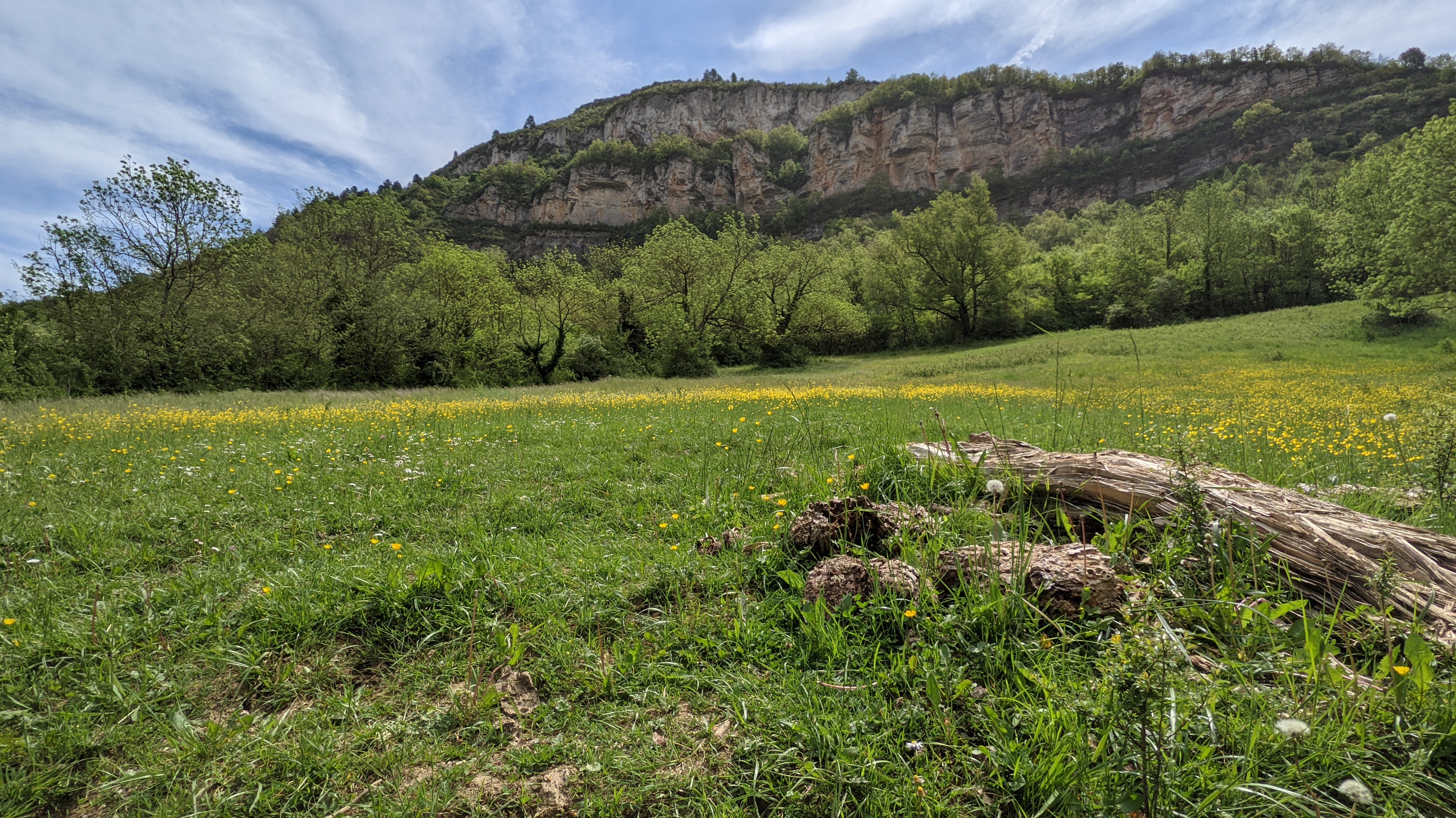 Photo n° 5 de l'avis de Alzounies.l fait le 11/05/2021 à 17:59