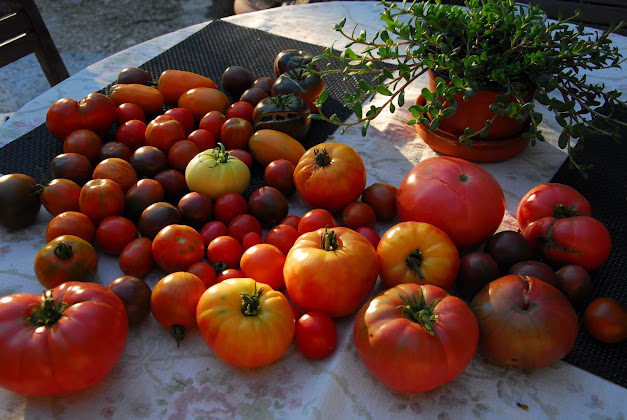 Nourriture Chambre d'hôtes gite, Le Lendou 46800 Lendou-en-Quercy