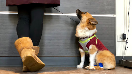 1545 W Devon Ave, Chicago, IL 60660, USA