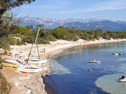 Foto di Plage de Villata con molto pulita livello di pulizia