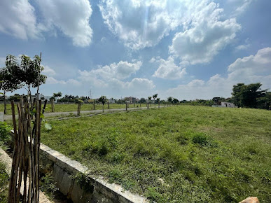 Google Maps image 16