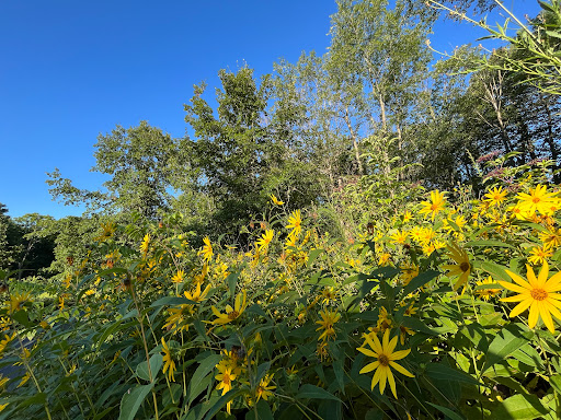 Nature Preserve «Hickory Creek Preserve», reviews and photos, Wolf Rd, Mokena, IL 60448, USA