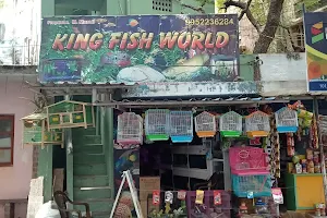 KING FISH WORLD image