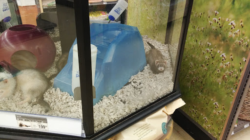 Pet Supply Store «Petco Animal Supplies», reviews and photos, 8404 Eager Rd b, Brentwood, MO 63144, USA