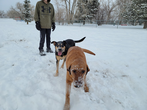 Park «Iron Horse Park», reviews and photos, 6151 Elwell St, Fort Carson, CO 80913, USA