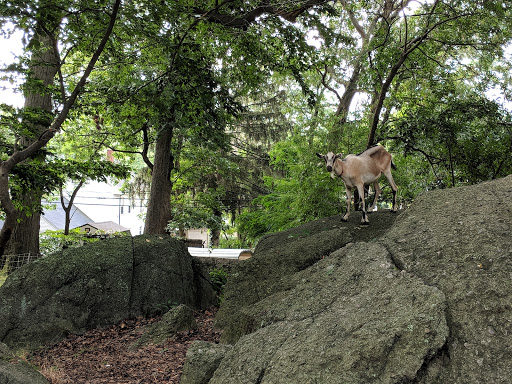 Park «Dorchester Park», reviews and photos, 2180 Dorchester Ave, Dorchester, MA 02124, USA