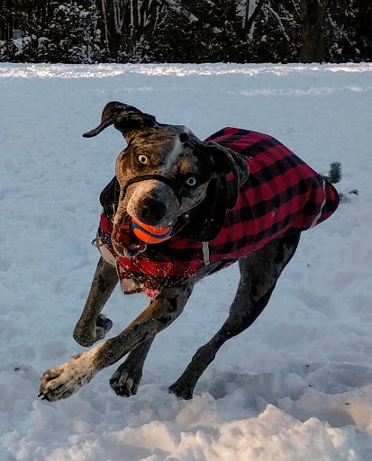 Park «Creston Park», reviews and photos, SE 44th Ave & Powell Blvd, Portland, OR 97206, USA